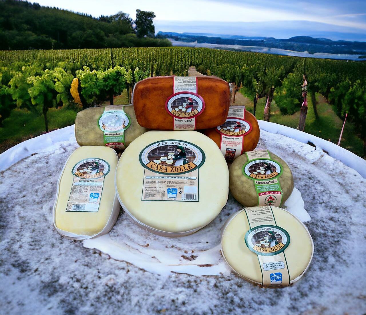 casa zolle quesos gallegos