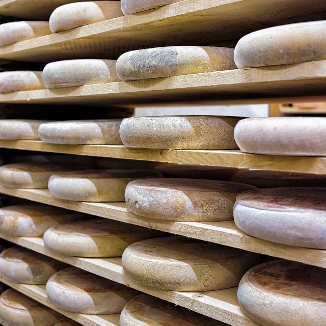 Proceso de maduración de quesos – Cómo evoluciona el queso con el tiempo.