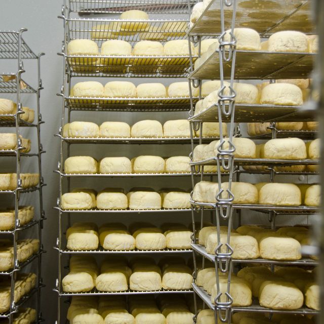 Proceso de maduración de quesos – Afinado y evolución del queso.